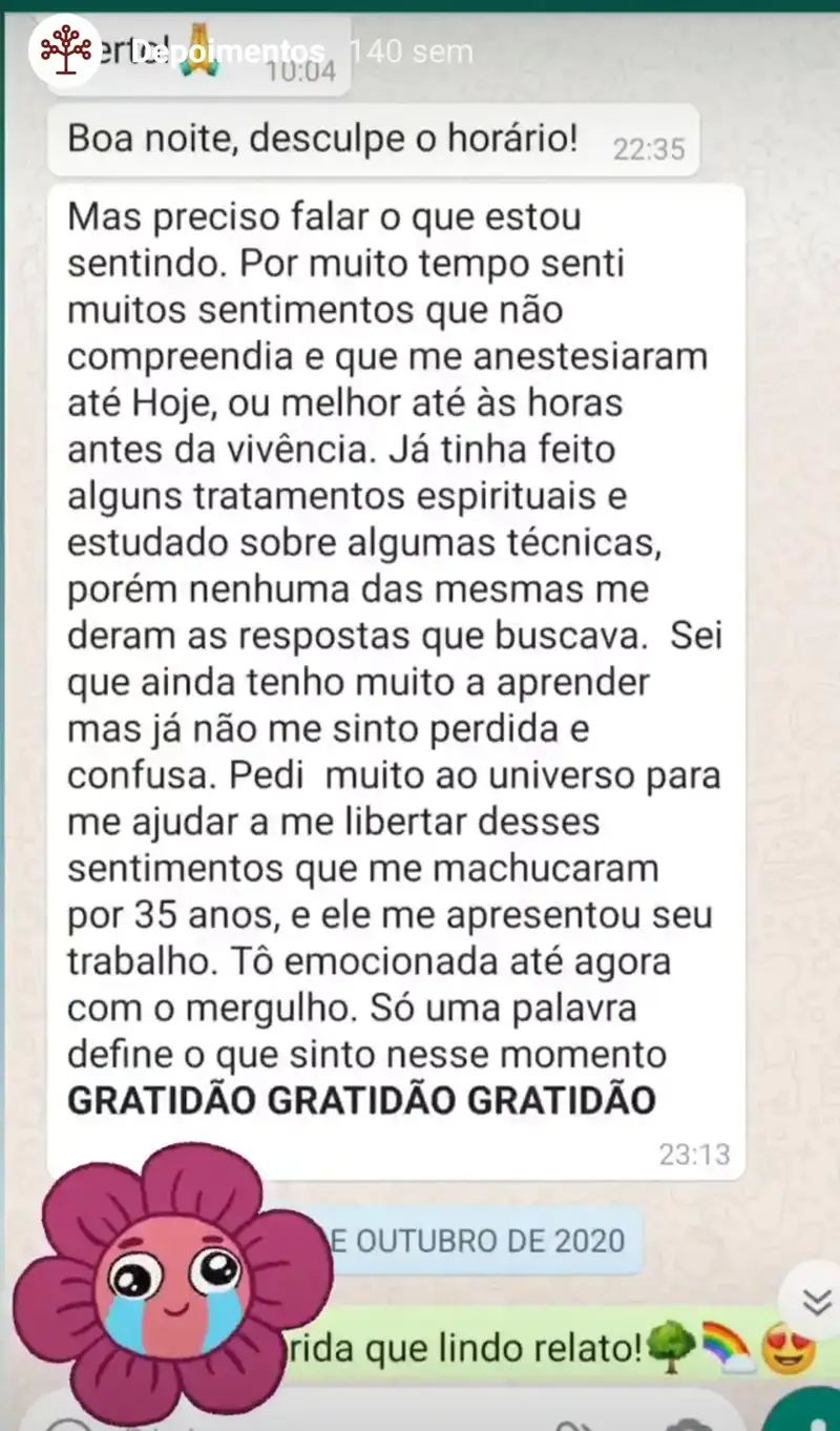 Depoimento participante